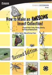 How to Make an Awesome Insect Collection Cover