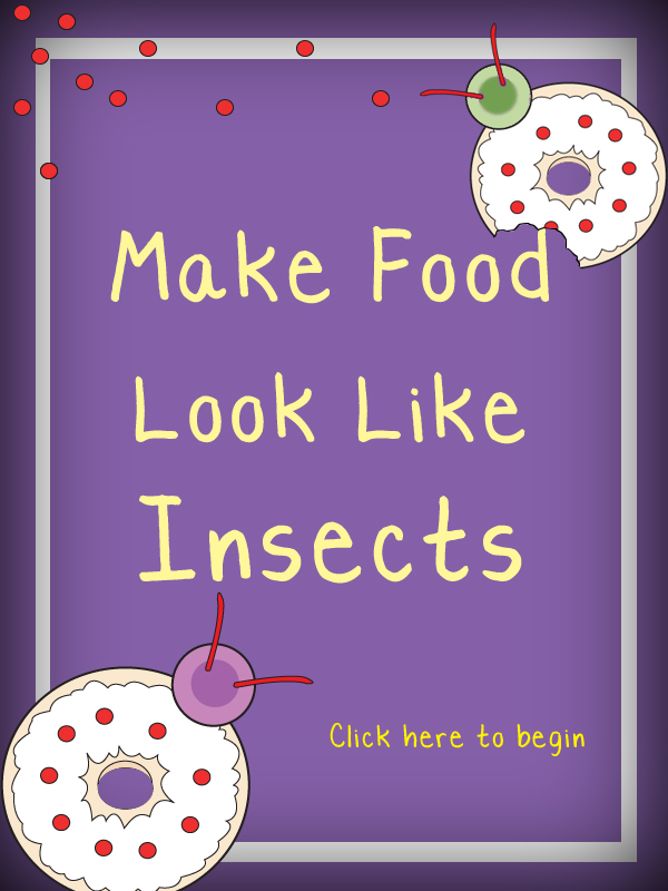 Cooking Without Insects Recipe Book
