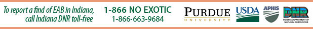 1-866-NO-EXOTIC, 1-866-863-9684