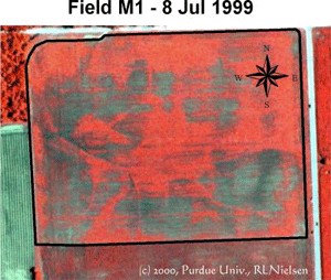Field M1-8 Jul 1999
