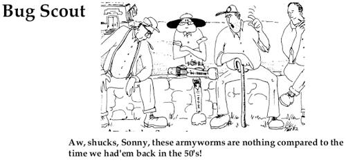 Bug Scout- Aw, shucks, Sonny, these armyworms are nothing comapred to the time we had 'em back in the 50s!
