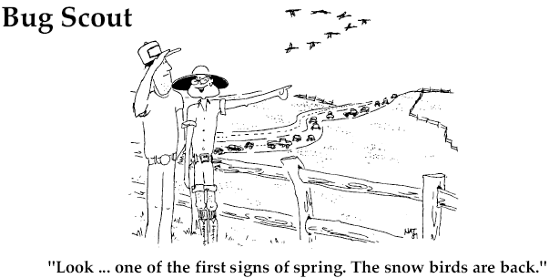 Bug Scout- Look... one of the first signs of spring. The snow birds are back!
