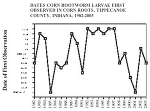 Dates corn rootworm larvae first observed in corn roots