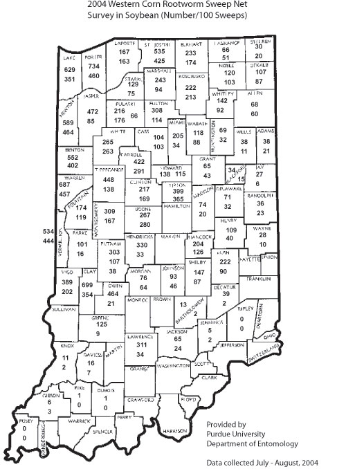 2004 Wester corn Rootworm Sweep Net Survey in Soybean (Number/100 Sweeps)
