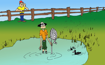 Bug Scout Cartoon
