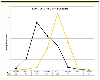 2010 and 2011 WBC Moth Captures