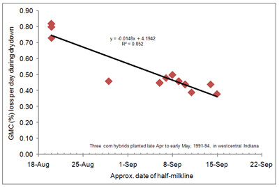 Fig. 3. Relationship between field drying rate and the date at which the grain nears maturity (half milkline) for three corn hybrids planted late April to early May, 1991-1994, westcentral Indiana.