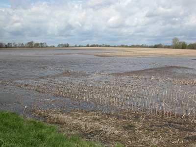 Lakes in fields that need to drain before tillage can be contemplated.