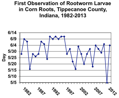 First observation of Rootworm Larvae in Corn Roots, Tippecanoe County, IN, 1982-2013