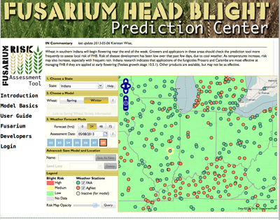Figure 3. Indiana commentary and risk of Fusarium head blight development on the wheat scab risk model: http://www.wheatscab.psu.edu/