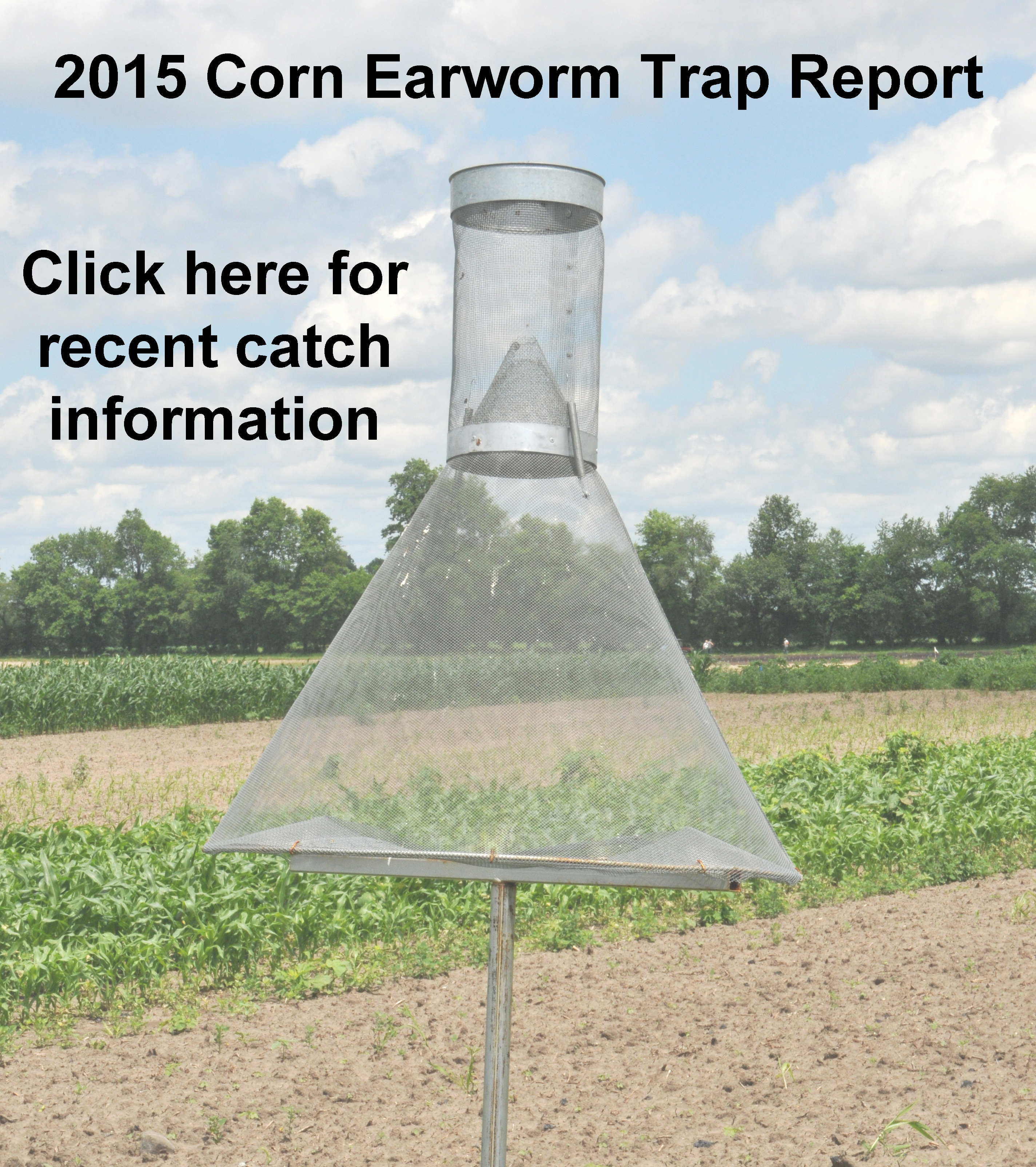 Corn Earworm Trap Report.