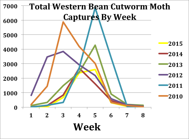  Total Western Bean Cutworm Moth Captures By Week.