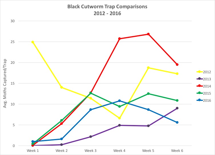 Figure 1. Black Cutworm Moth Trap Comparisons 2012 – 2016