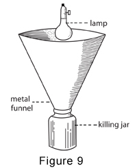 funnel kill jar