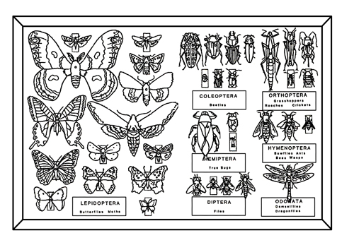 32-label-an-insect-labels-design-ideas-2020