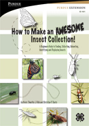 How to Make an Awesome Insect Collection Cover