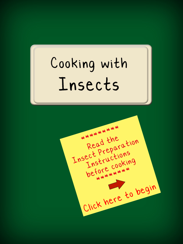 Cooking With Insects Recipe Book