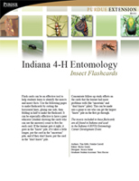 Indiana 4-H Entomology Insect Flashcards