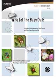 Who Let the Bugs Out cover