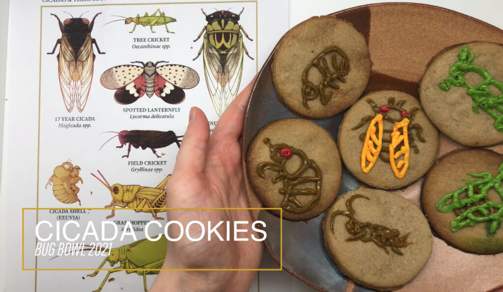 Photo of a plate of cookies decorated as cicadas, and the poster that helps identify cicadas and relatives.