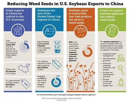 Reducing Weed Seeds in U.S. Soybean Exports to China