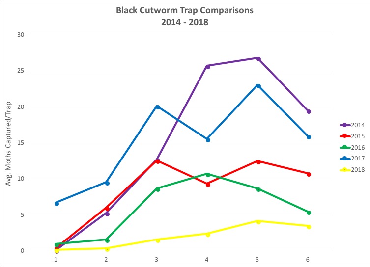 Black cutworm trap comparison.