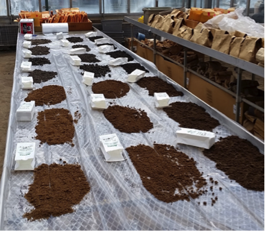 Soil samples