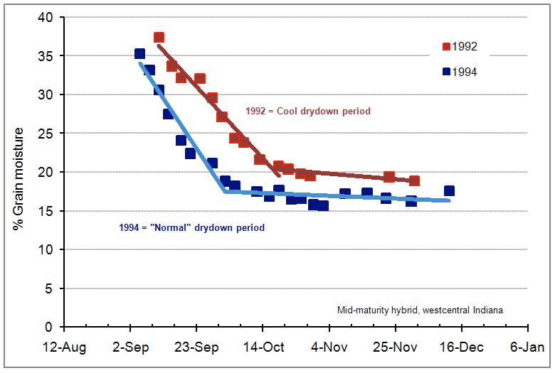 Field Drydown of Mature Corn Grain Purdue University Pest&Crop newsletter