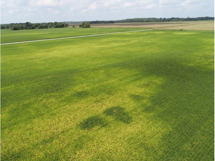 Figure 4. Aerial image of highlighter green soybean to yellow (now, senescencing) soybeans in Shelby County. August 31, 2018.