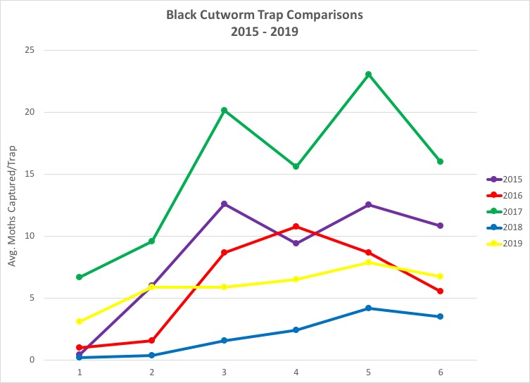 Black cutworm trap comparisons 2015-2019