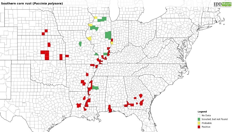 Figure 1. Map of counties confirmed for southern corn rust as of July 25, 2019. 
