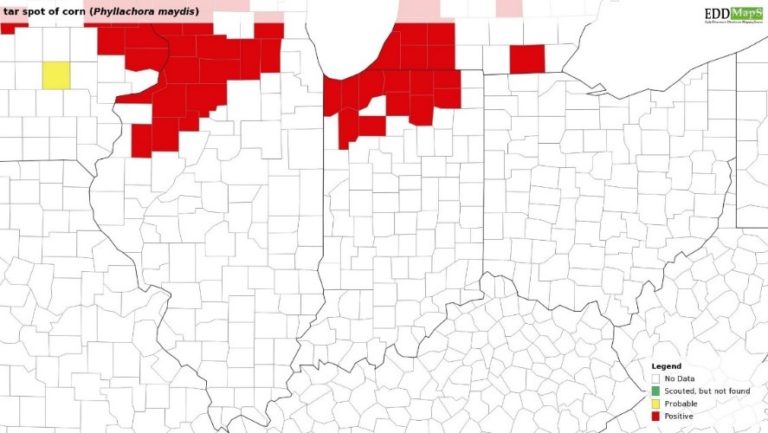 Field Crop Update for Indiana | Purdue University Pest&Crop newsletter