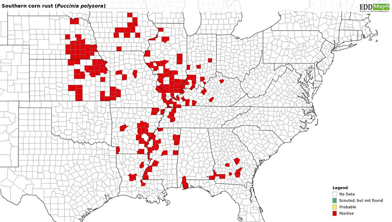 Figure 4. Map of counties confirmed for southern corn rust as of August 28, 2019. 