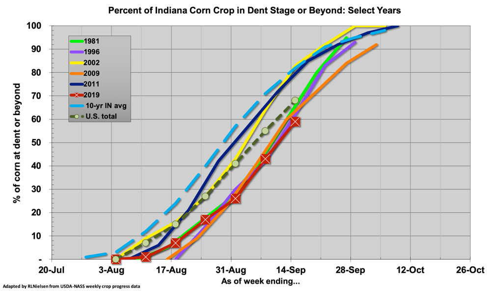 Fig. 2. Percentage of Indiana's corn crop at dent stage OR BEYOND; 15 Sep 2019. 
