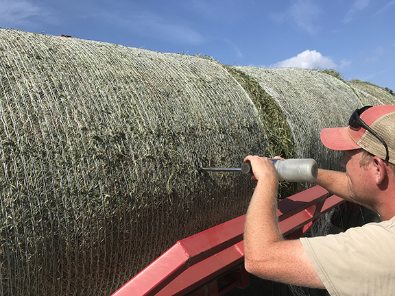 Proper sampling of hay with a forage probe is the first step in using test results to develop rations that will keep livestock in excellent body condition during the winter.