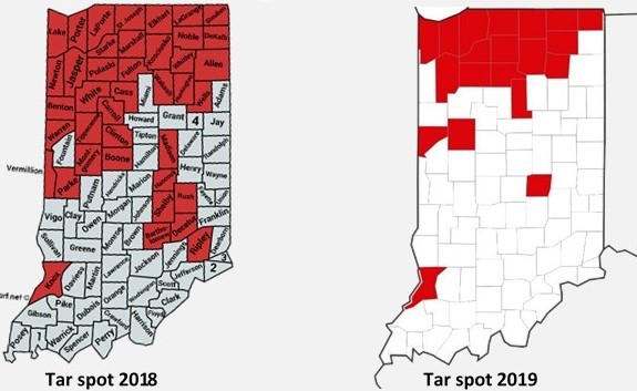 Figure 1. Distribution of tar spot in Indiana in 2018 and current distribution as of Oct 1, 2019. 