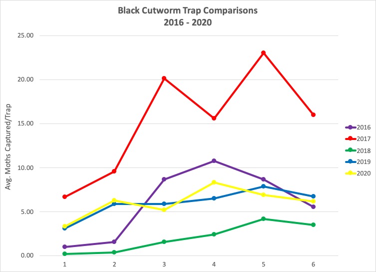 Black cutworm moth trap comparisons 2016-2020
