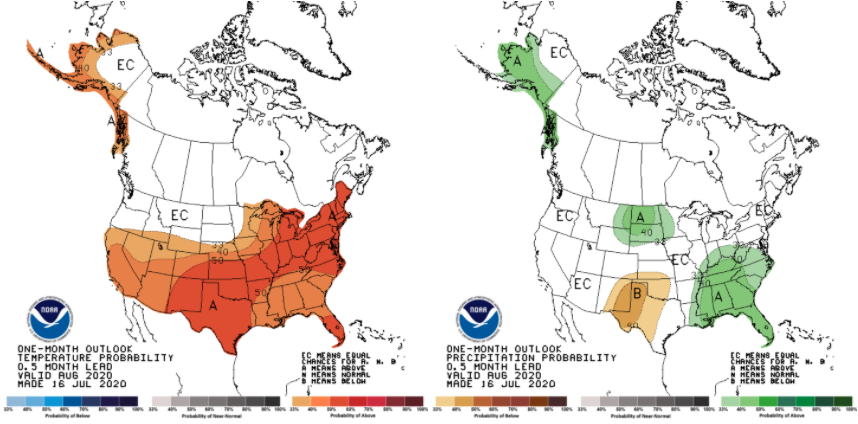 Figure 1. Temperature (left) and precipitation (right) probabilities for above- or below-normal conditions for August. Source: NOAA Climate Prediction Center