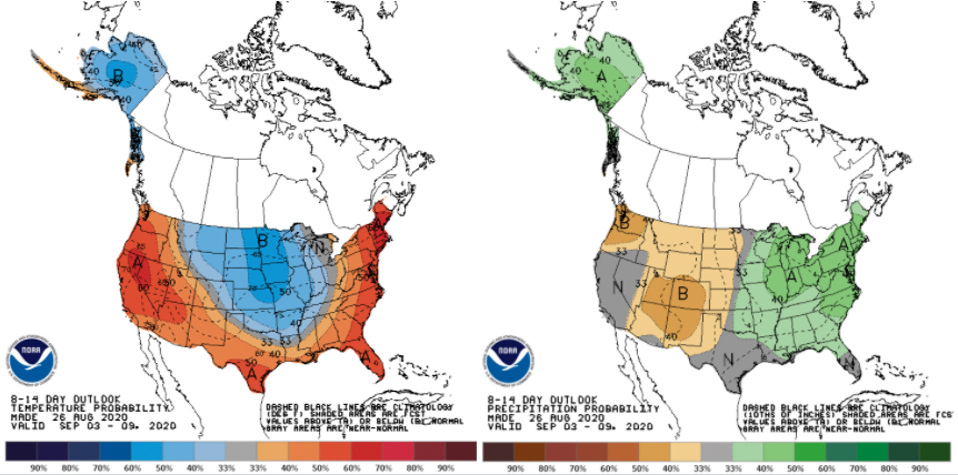 Figure 1. The national Climate Prediction Center’s 8-14-day climate outlook for September 3 – September 9, 2020 where shading indicates probability of above- or below-normal temperature (left) and precipitation (right).
