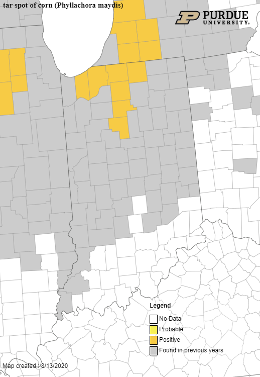 Figure 2. Map of counties confirmed for active tar spot in Indiana as of August 13, 2020. Gray counties are those that we have found tar spot in previous years. 