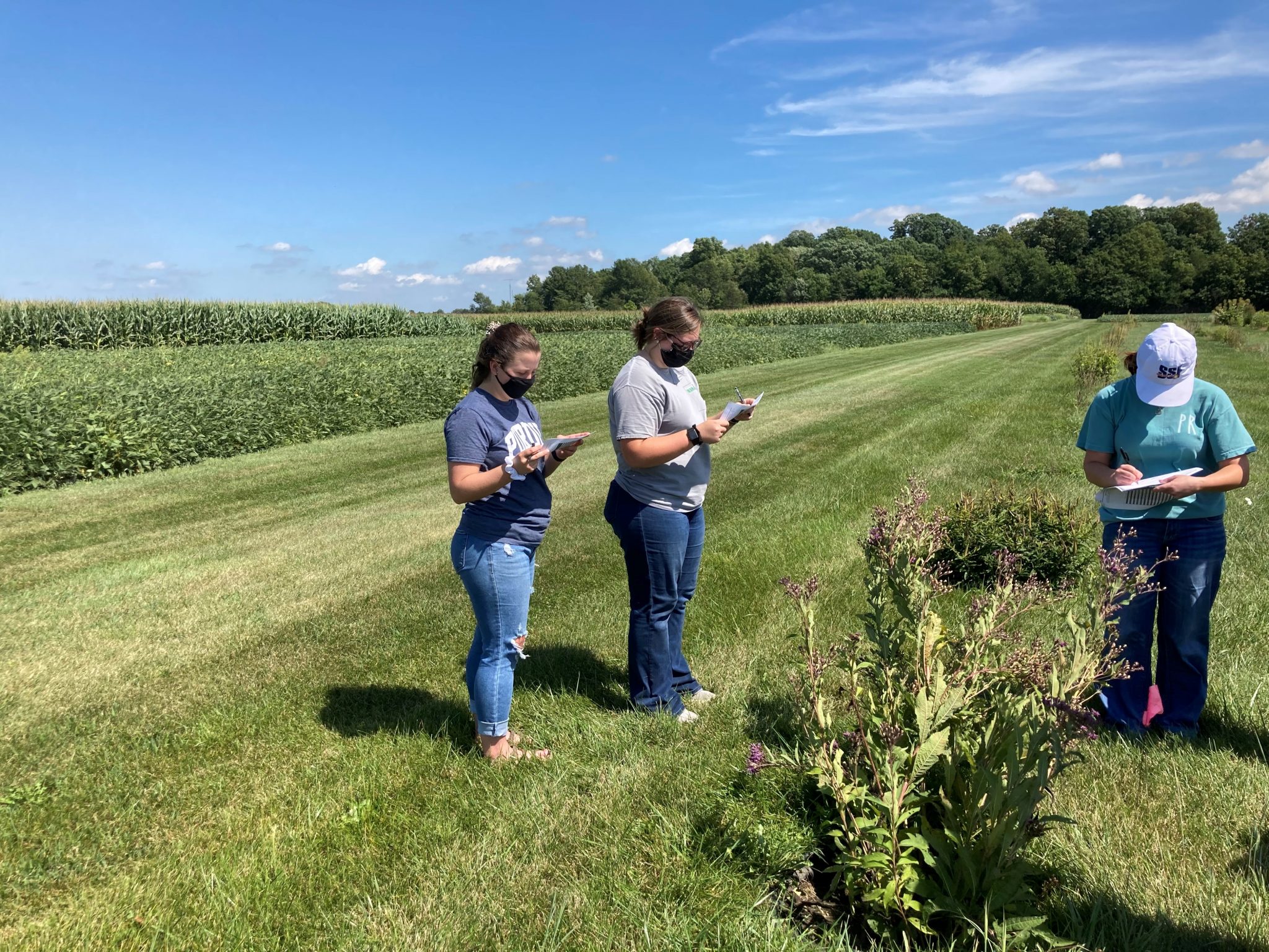 Identifying problematic pasture weeds and determining different herbicide options for their control. (Photo Credit: Keith Johnson)