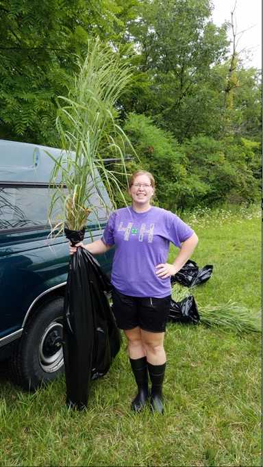 Purdue University Sullivan County Extension Educator Brooke Stefancik’s Master’s degree research provided much information about the yield and quality of switchgrass as livestock and biofuel resources. (Photo Credit: Keith Johnson)