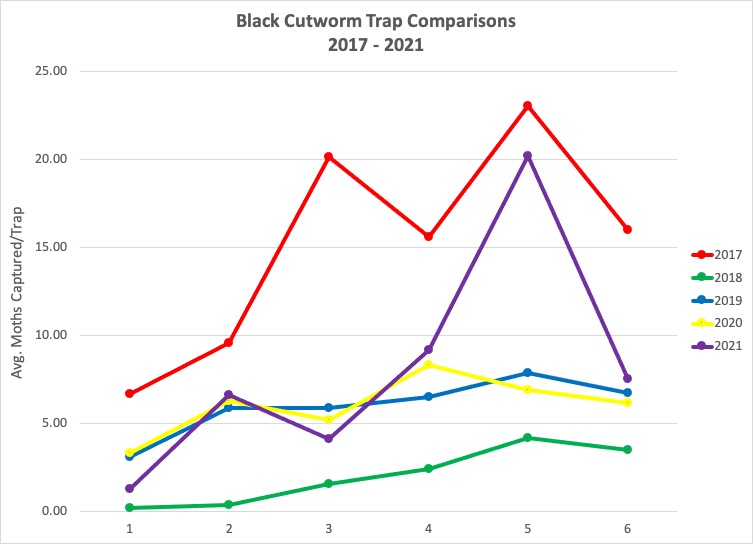Black cutworm moth trap comparisons 2017 – 2021.
