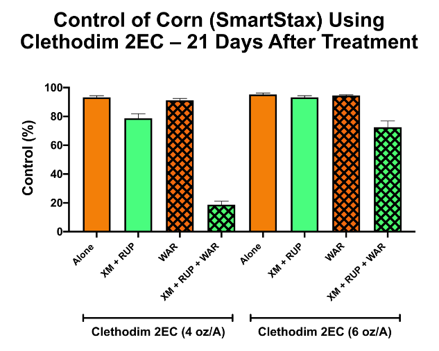 Figure 1. Antagonistic effect of dicamba and acetochlor on corn control with Clethodim 2EC. Abbreviations: XM = XtendiMax (22 oz/A); RUP = RoundUp PowerMax II (32 oz/A); WAR = Warrant (48 oz/A)
