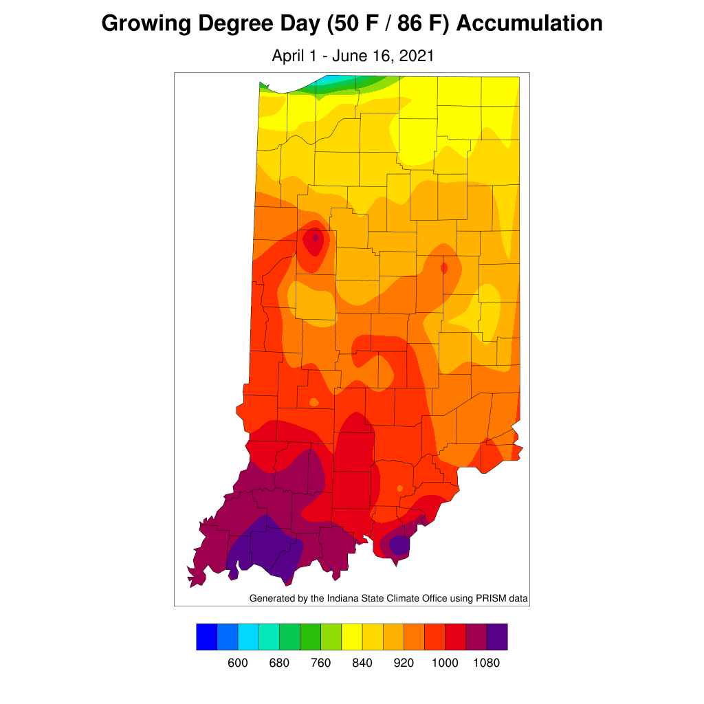 Figure 4. Modified growing degree day accumulations from April 1 to June 16, 2021.
