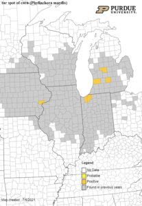 Time To Scout For Diseases In Field Crops: What To Look For In Corn Yes ...