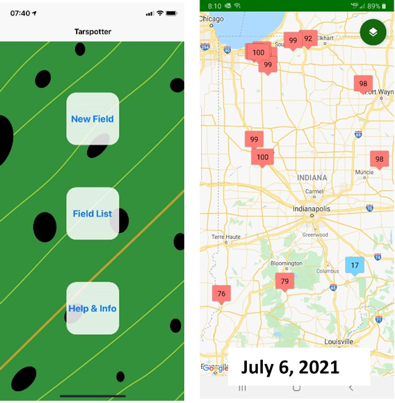 Figure 4. Tarspotter App forecast from July 6, 2021. Red color indicates favorable environmental conditions for tar spot if corn at V8 or larger, blue color indicates unfavorable environmental conditions for tar spot. Source: Tarspotter App v. 0.52 Smith, D., et al. ©2021 Board of Regents of the University of Wisconsin System. 