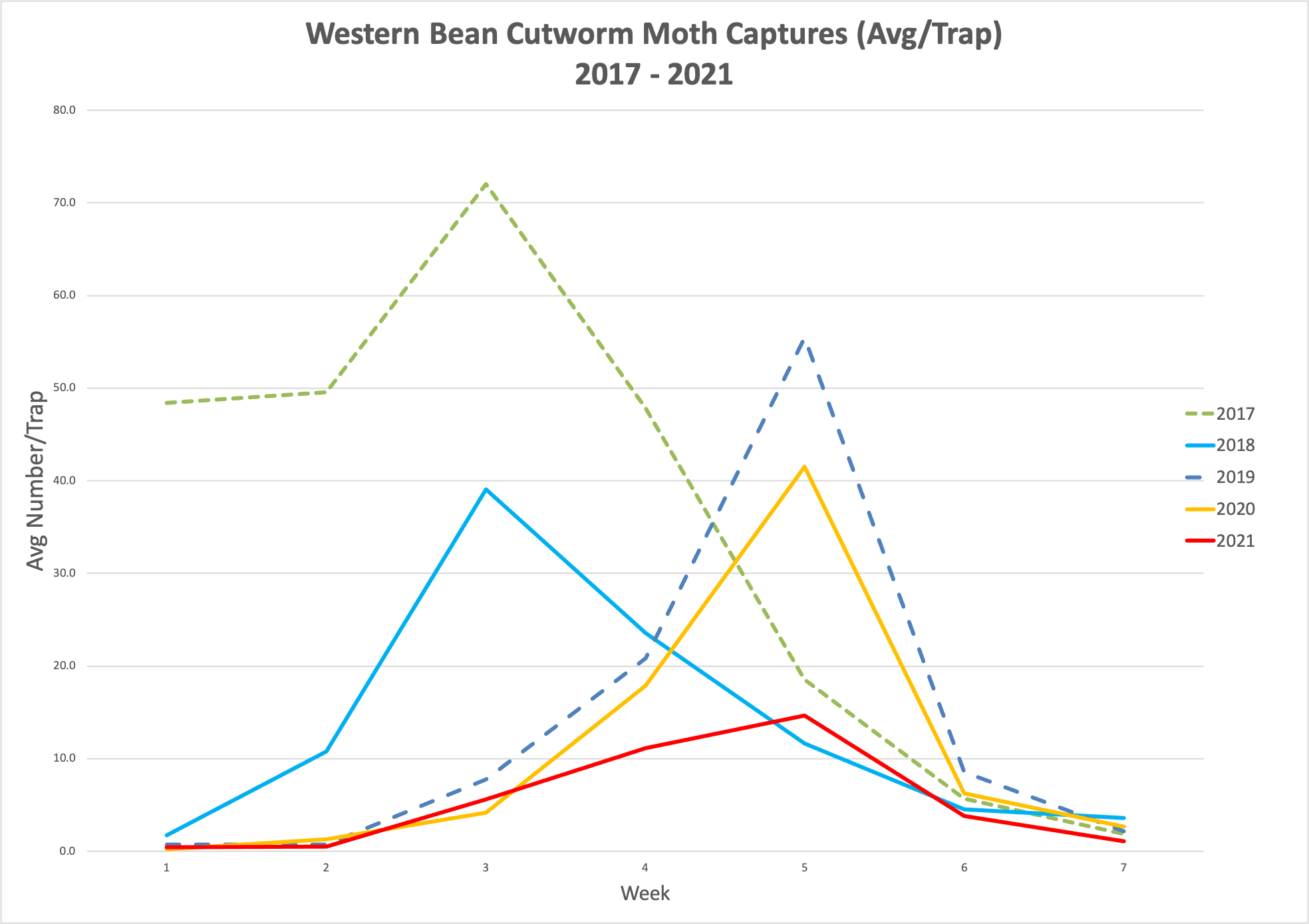 western bean cutworm moth captures 2017-2021