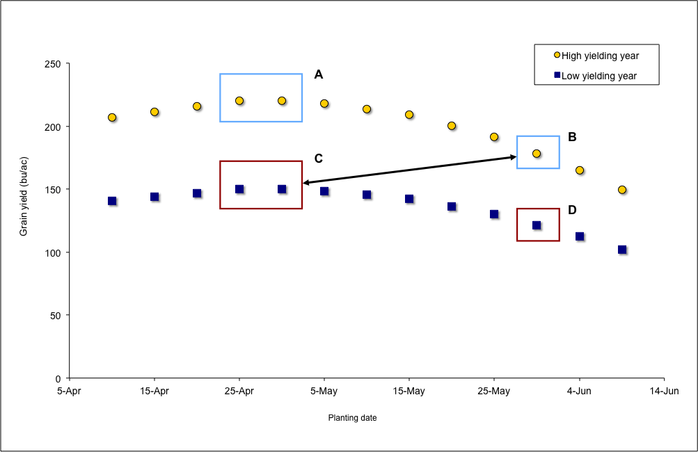 Fig. 3. The planting date conundrum relative to absolute yield potential: A delayed planted crop in one year (B) can yield better than a crop planted on the optimum date in another year (C). 