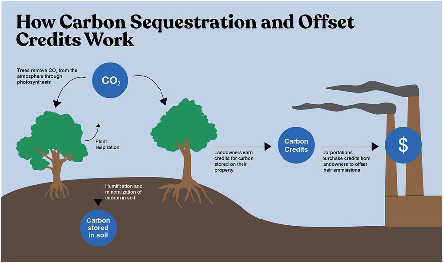 The figure illustrates how carbon offset credits work. Source: Jonathan Zhou’s article titled “A deep delve into Biden’s environmental policies”.